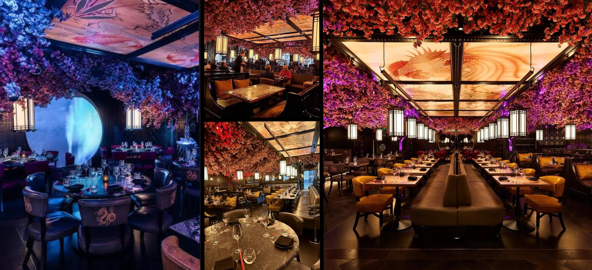 TATTU EDINBURGH